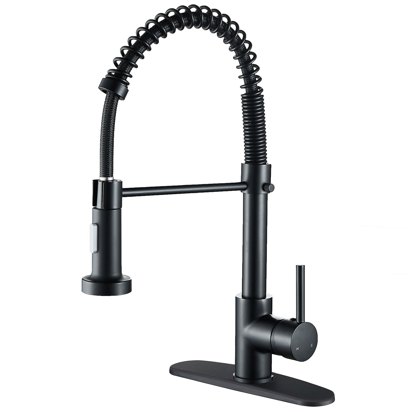 Springs Single Handle Pull Down Spray Kitchen Faucet